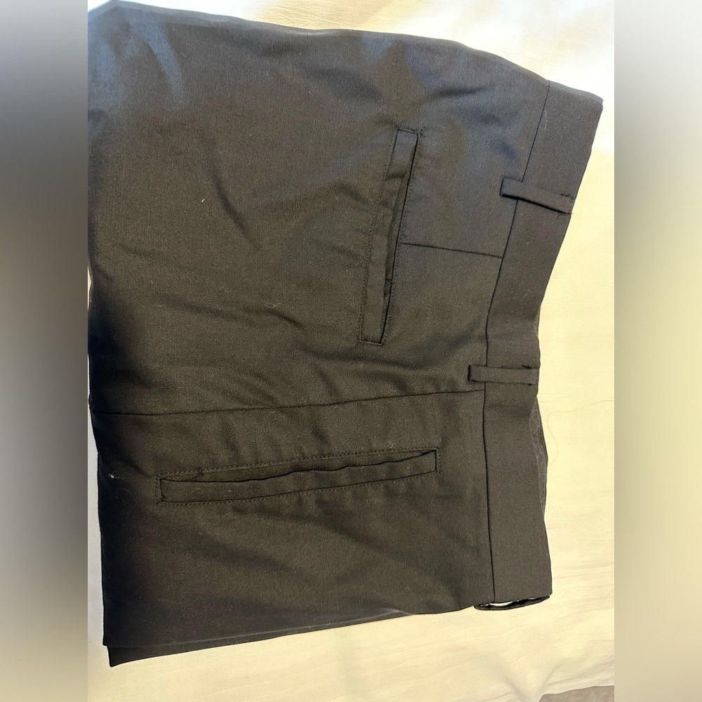 Dress pants